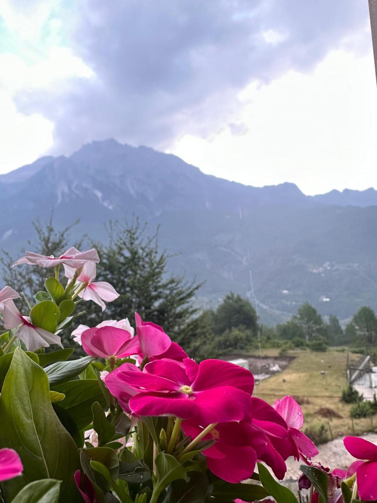 Vellezrit Guri Bed and breakfast Theth